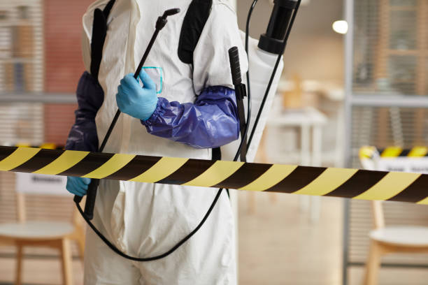 Professional Sewage Cleanup technician working in Bloomington, IN